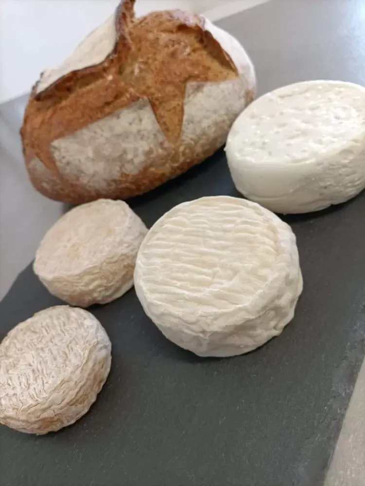 fromage-de-chevre