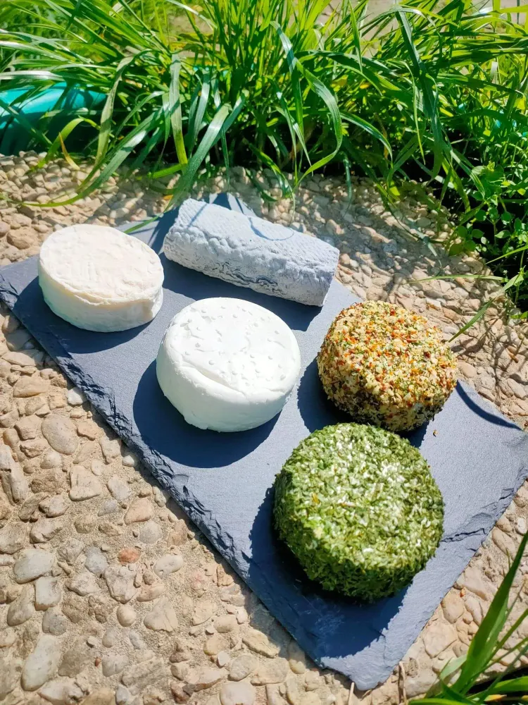 vente-fromages-de-chevre