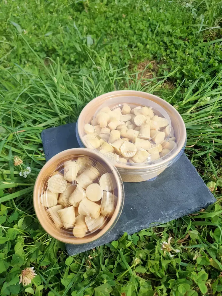 Boite Bouchon Apéro Sec